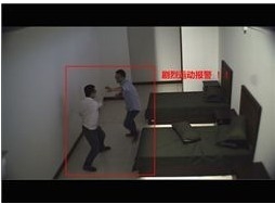 人體行為視頻分析系統